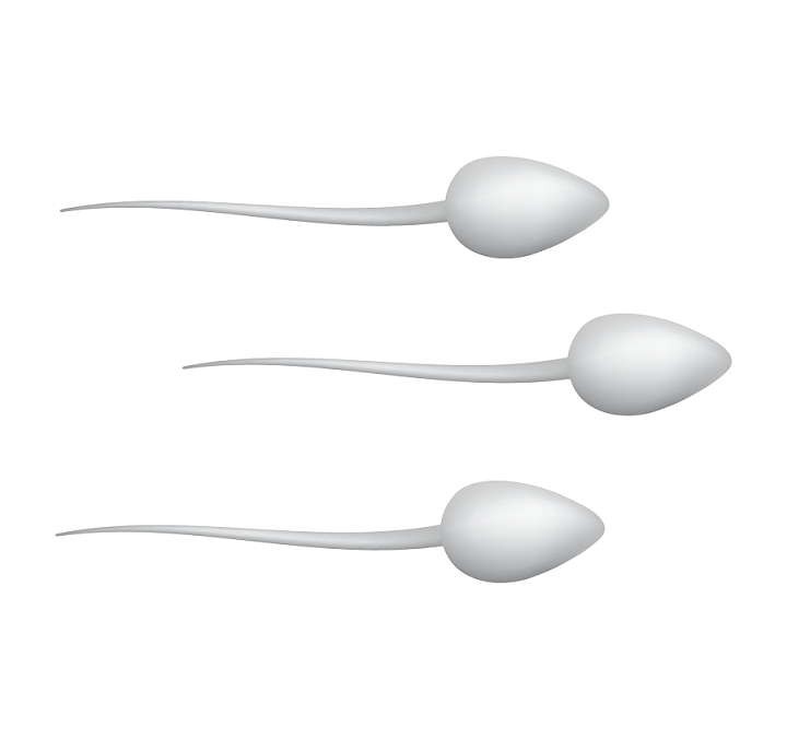 Male Factor Infertility: Semen Analysis