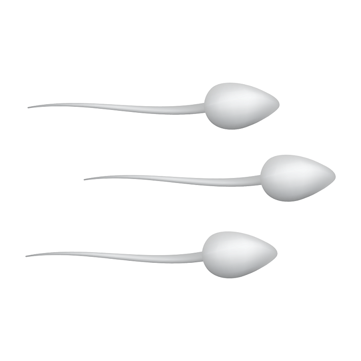 Male Factor Infertility: Semen Analysis